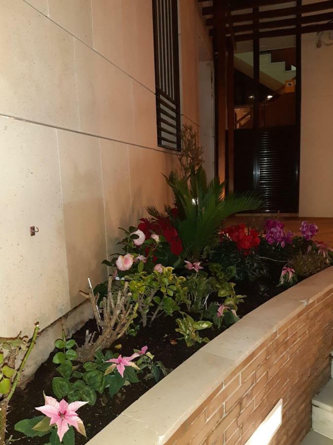 Apartamento Berenguela Cordoba Ngoại thất bức ảnh